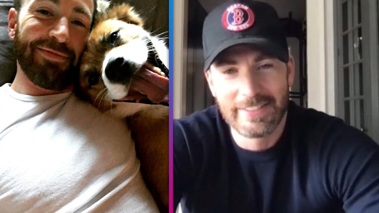 Chris Evans Shares How His Dog Participates in His Workout Routine and When His Diet Consists of ‘Junk Food’