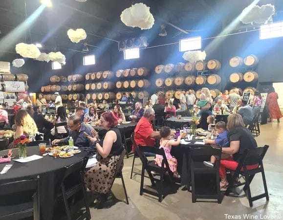 Attending The Grape Capital of Texas Vineyard & Wine Festival