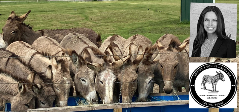 2024 North Texas Giving Day Booster: Donkey And Equine Haven