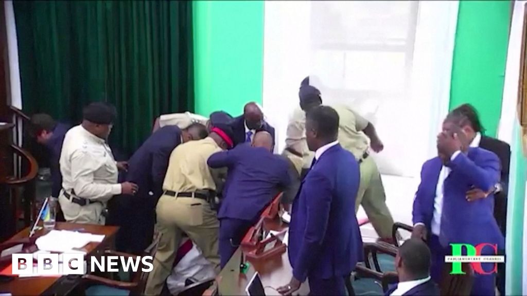 Moment Bahamas MP throws mace out parliament window