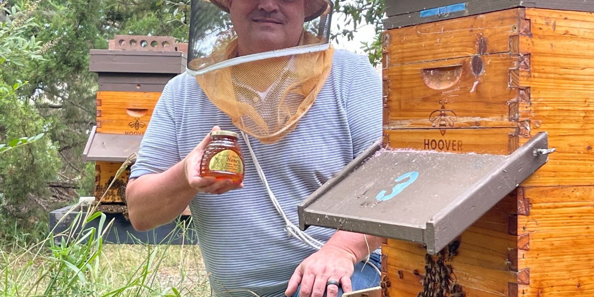 What Fortune 500 bosses can learn from an AT&T engineer who took up beekeeping 
