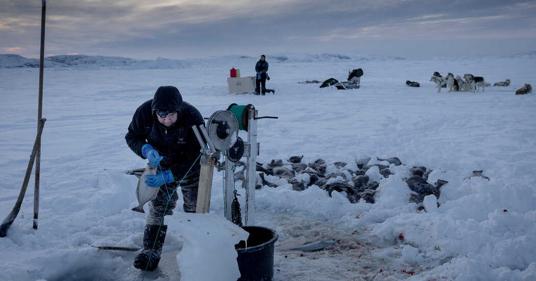 Greenland Races Into New Era Without Losing Grip on Inuit Traditions