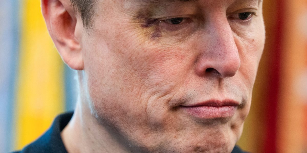 Elon Musk says Trump ‘is in the Epstein files. That is the real reason they have not been made public’