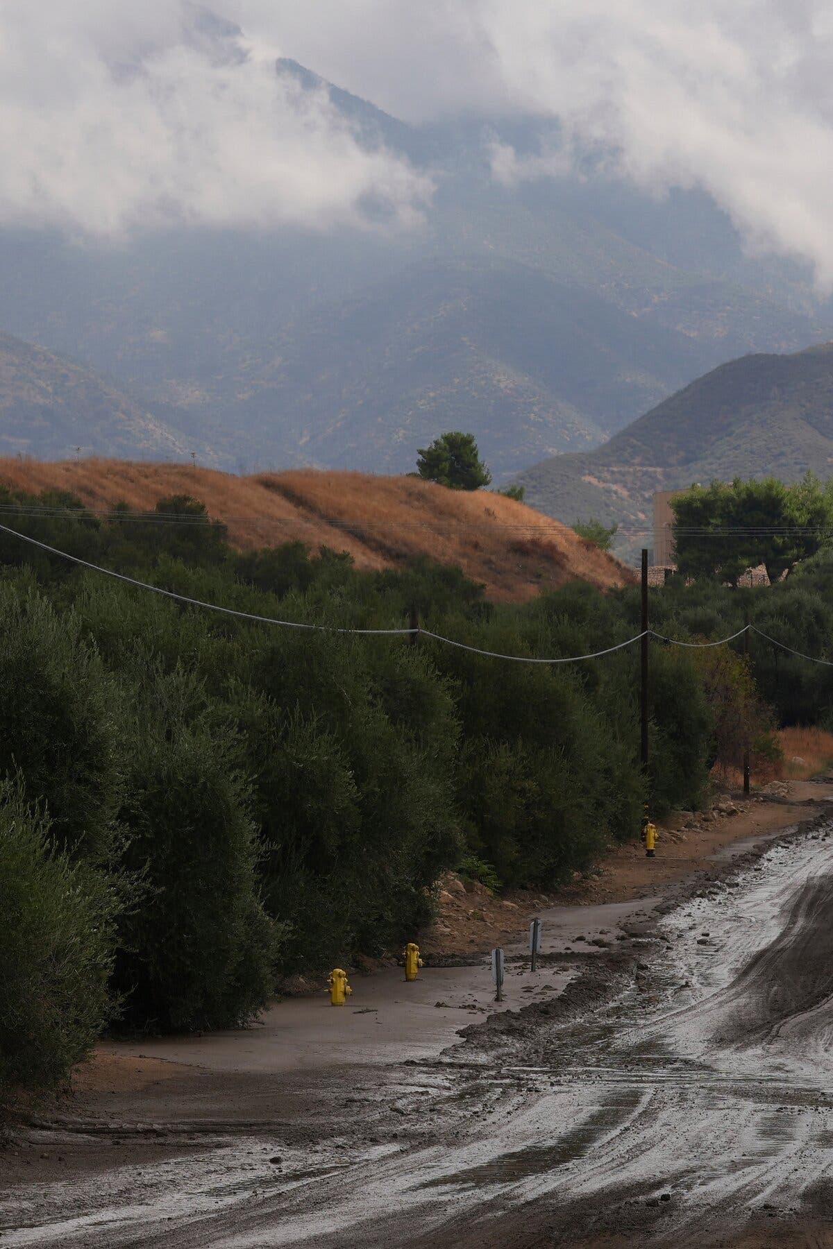 Heavy Rain Triggers Mudslides, Flash Floods in Southern California