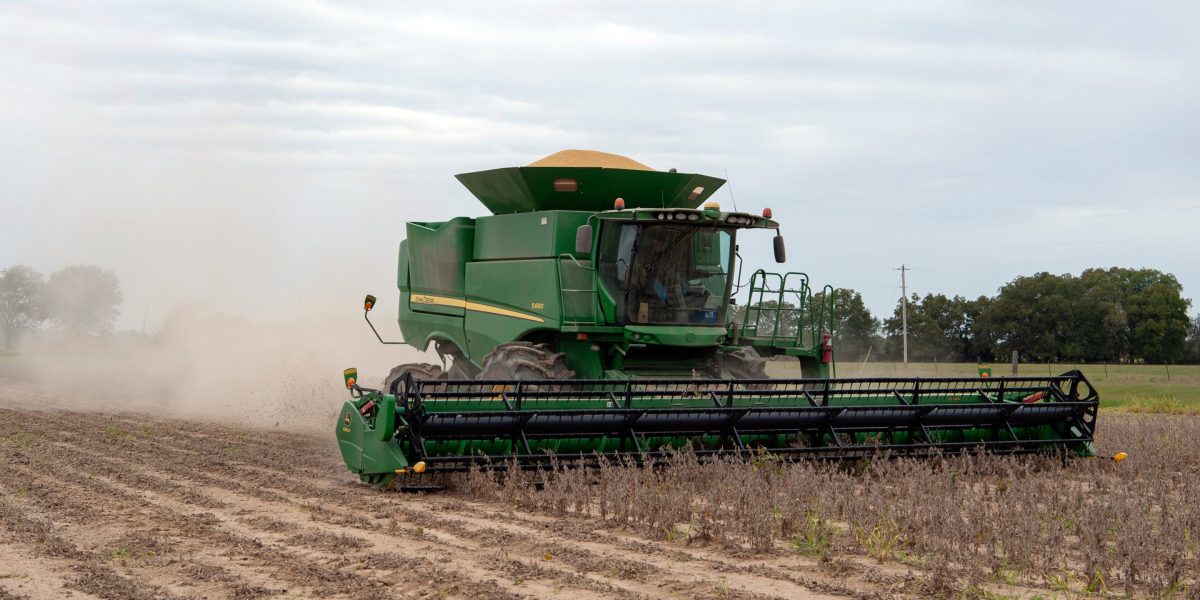 There’s ‘no evidence’ China is buying all the U.S. soybeans it promised under Trump’s trade deal