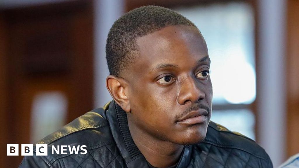 Mugabe's son pleads guilty to pointing a gun in South Africa