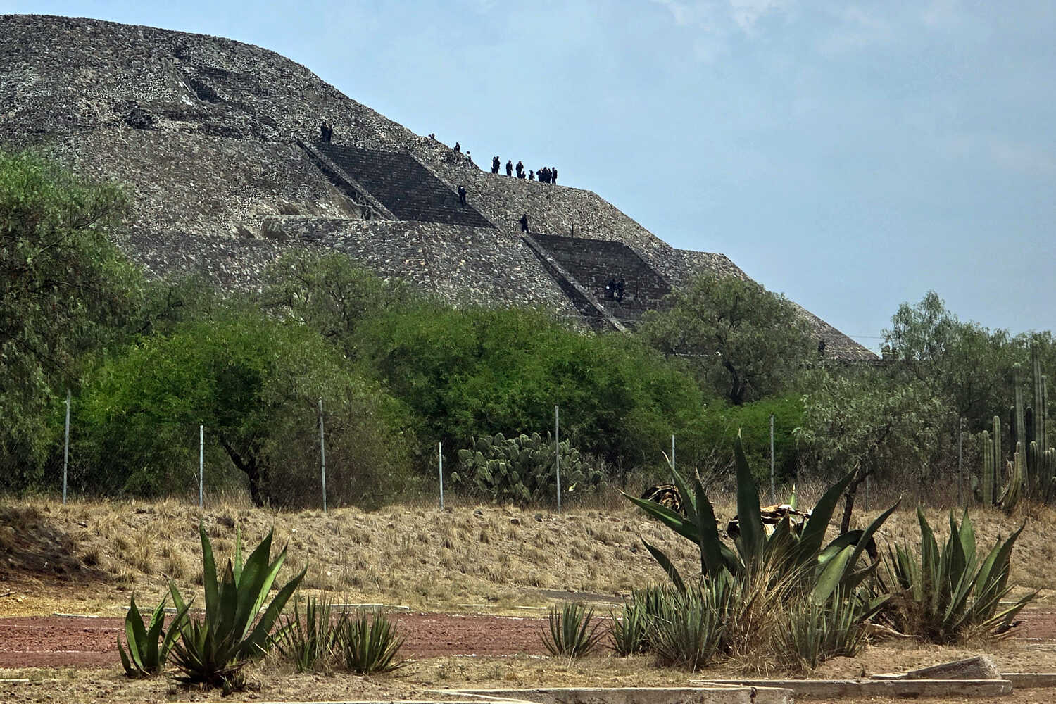 Small figures are seen on a pyramid in the background. Greenery and plants are in the foreground.