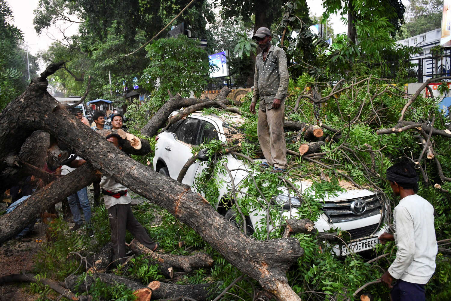 A white car is buried under a tangle of dark tree branches and green leaves. Several people work to cut and remove the large tree debris.